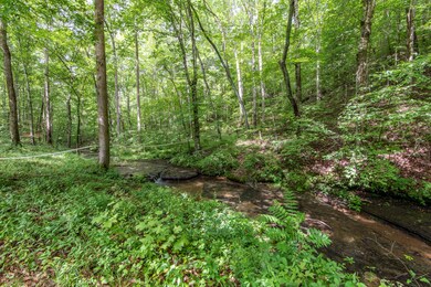 298 Burns Hollow Rd, Waynesboro, TN 38485 - photo 4