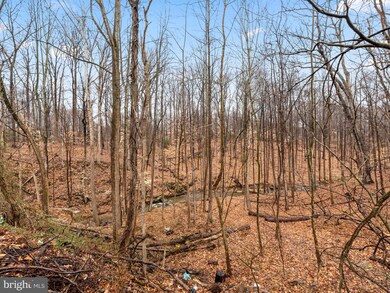 9726 Baltimore Ave, Laurel, MD 20723 - photo 4