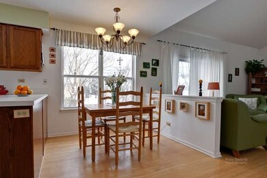 923 Cortney Dr, Carpentersville, IL 60110 - photo 7