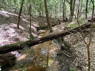 Crockett Rd, Haleyville, AL 35565 - photo 5