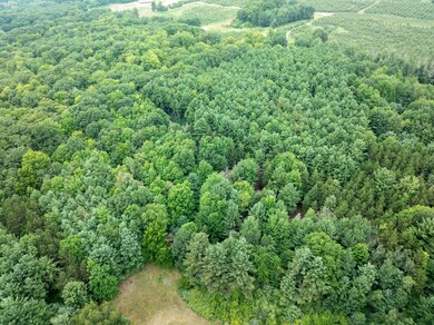 DJI_20240801142757_0152_D