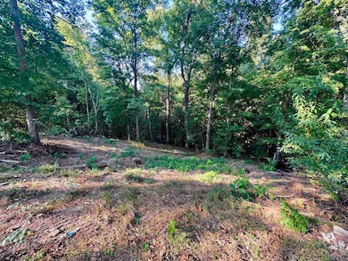 127 Harvey Newman Rd, Gates, TN 38037 - photo 5