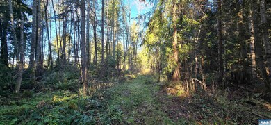 Lot 4 Lunderville Ln, Port Angeles, WA 98362 - photo 5