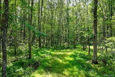 Lot 69 Cushetunk Dr, Cochecton, NY 12726 - photo 4