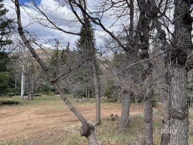 At edge of lot by road