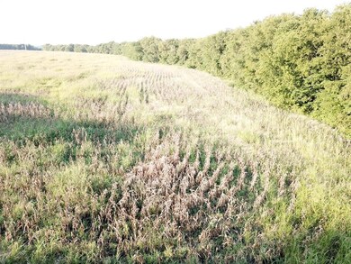 0000 W Shepherd Dr, Sherman, TX 75092 - photo 5