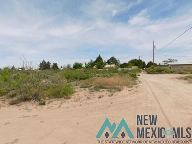 1201 5 S Tennyson Dr, Deming, NM 88030 - photo 5