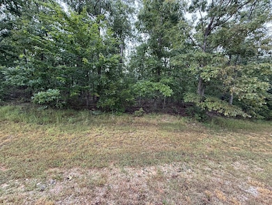 Private Road 2532, Mountain View, MO 65548 - photo 6