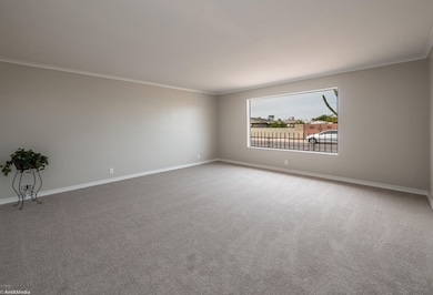 Huge Picture Window