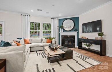 5750 Stewarts Landing Rd unit 122, Charlotte, NC 28215 - photo 4