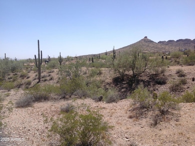 0 N Dolores Place unit 6943567, Queen Creek, AZ 85142 - photo 4