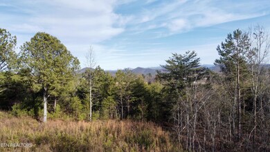dji_fly_20250125_154606_694_173784092071