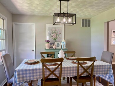 390 Northgate St, Lincoln, IL 62656 - photo 3