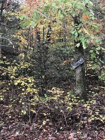 Lot 13 Echo Ln S unit 13, Old Fort, NC 28762 - photo 2