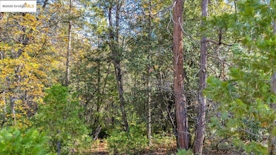 22919 Lazy Z Ln, Sonora, CA 95370 - photo 6