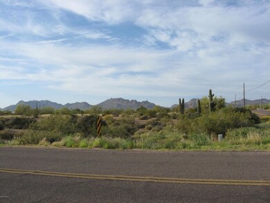 IMG_2251.JPG