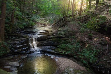 Big Falls Creek 3