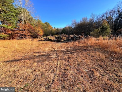 8385 Hurleys Neck Rd, Mardela Springs, MD 21837 - photo 6