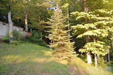 Wooded lot
