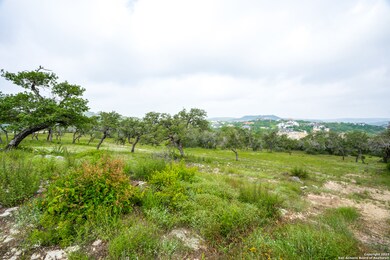 9703 Lenox Hill, San Antonio, TX 78255 - photo 4