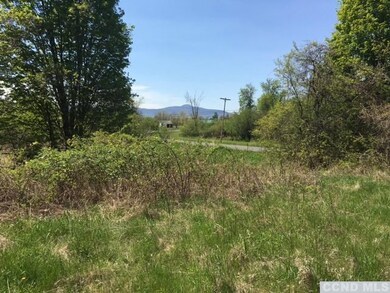 201 Cemetery Rd, Clermont, NY 12526 - photo 7