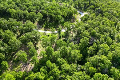 Lot 20 Restore Ridge, Harrison, AR 72601 - photo 5