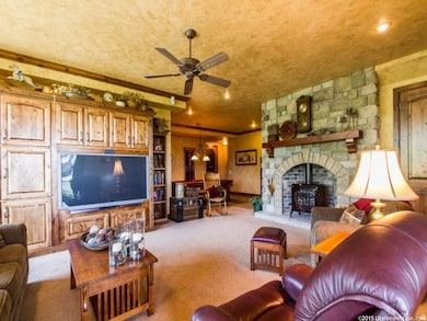 Living room featuring crown molding, carpet, a wood stove, and ceiling fan