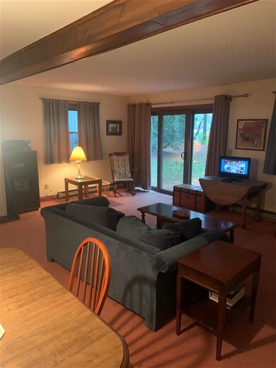 860 Murphys Rd unit 3E, Quechee, VT 05059 - photo 6