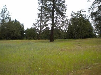 2500 Bison Place, Gold Hill, OR 97525 - photo 2