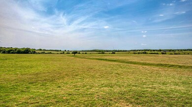 Lot 15 Cottonwood Trail, Poolville, TX 76487 - photo 4