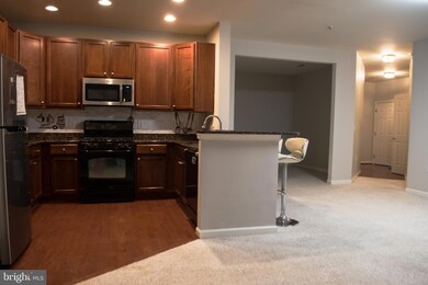 1301 Karen Blvd unit 101, Capitol Heights, MD 20743 - photo 7