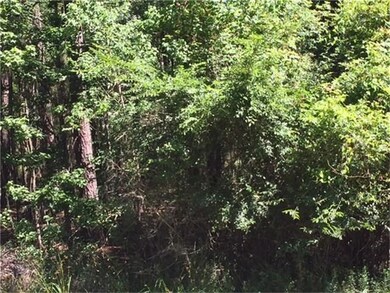 0000 Breckenridge, Magnolia, TX 77354 - photo 3