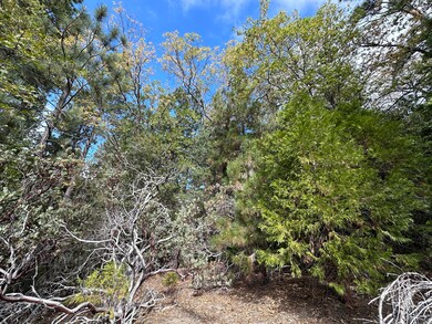 0 Round Robin Dr unit 219139116DA, Idyllwild, CA 92549 - photo 5