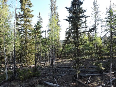 170 Buckskin Ct, Como, CO 80456 - photo 5