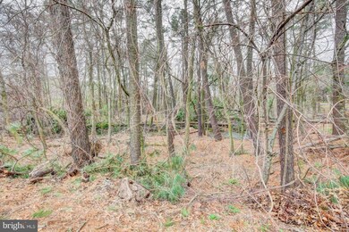 101 Hillside Rd, Chestertown, MD 21620 - photo 7