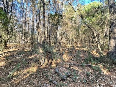 0 Prater Farm Rd, Seneca, SC 29678 - photo 6