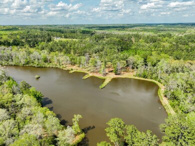 2714 County Road 54, Ozark, AL 36360 - photo 4