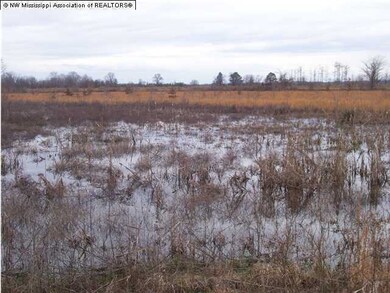 1 Fairhaven Loop, Crenshaw, MS 38621 - photo 4