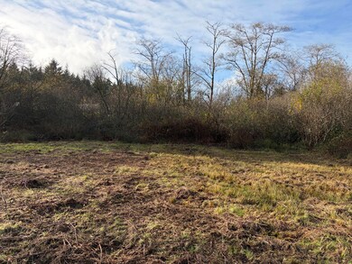 TL#2402 Alderbrook Rd, Tillamook, OR 97141 - photo 3