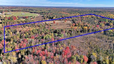 0 Twin Lake Rd, Middle Branch Township, MI 49665 - photo 3