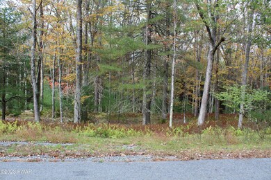 131 Water View Dr, Hawley, PA 18428 - photo 4