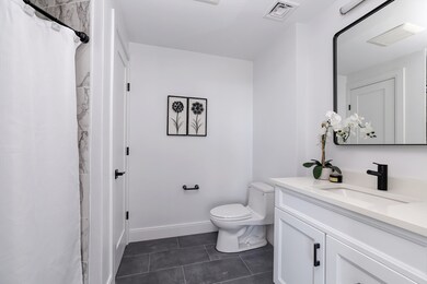 64 Alpine St unit 202, Boston, MA 02119 - photo 5