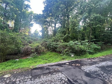Eastern Edge of Lot 24...Lot goes up road to Right