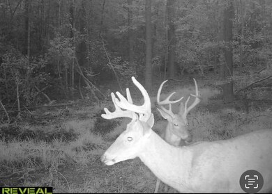 0 Bastonville Rd unit (Tract 14), Gibson, GA 30810 - photo 3