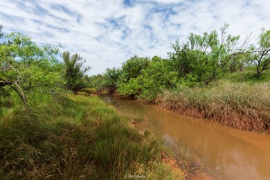 Fm1263, Aspermont, TX 79502 - photo 4