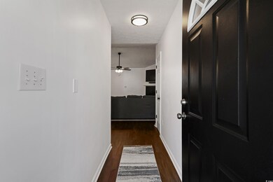 Corridor with baseboards, dark wood-type flooring,