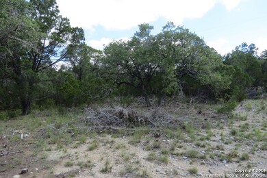 26331 Quail Grove Ln, Fair Oaks, TX 78006 - photo 7