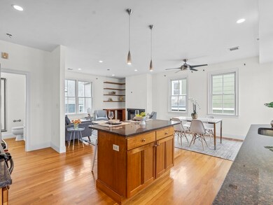 40 Stedman St unit 8, Jamaica Plain, MA 02130 - photo 3