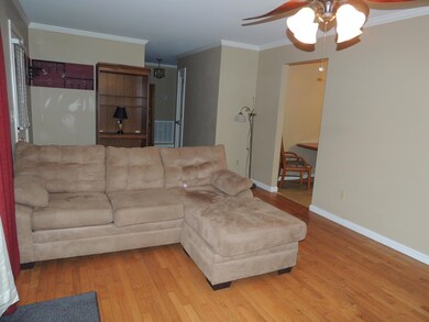 Living Room Additional View