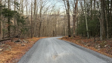 X Aldrich Rd, Wurtsboro, NY 12790 - photo 5